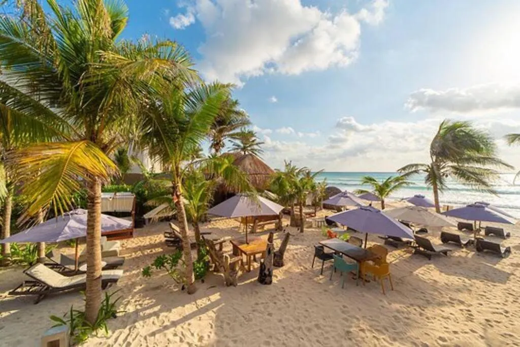 Luxury Studio In Playa Del Carmen Mexico